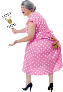 Halloween costumes lost dog