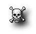 Lifecruiser skull