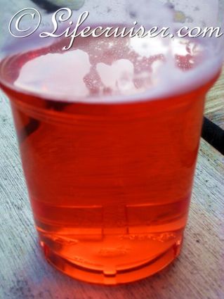 Campari Drink at the farm, Fårö Island, Gotland, Sweden, Photo Copyright Lifecruiser.com