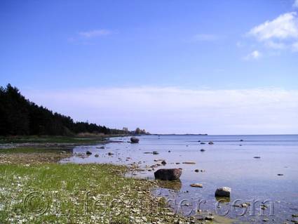 Shoreline at Fårö Island, Gotland, Sweden, Spring