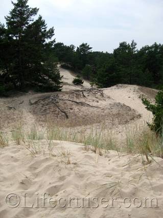 Ullhau sand dunes nature reserve, Fårö island, Gotland, Sweden, Copyright Lifecruiser.com
