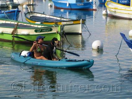 Dog on vacation - kayaking, France