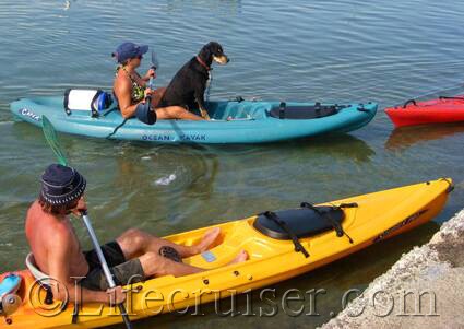 Dog on vacation - kayaking close up, France