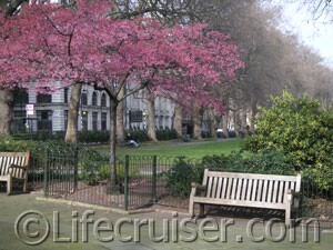 London Park Bench by Lifecruiser