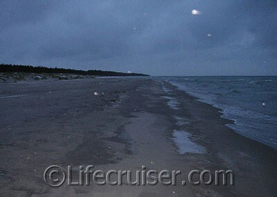 Lifecruiser's empty winter beach