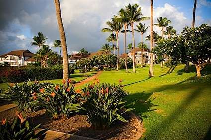 Kauai Island, Poipu Resort, Hawaii