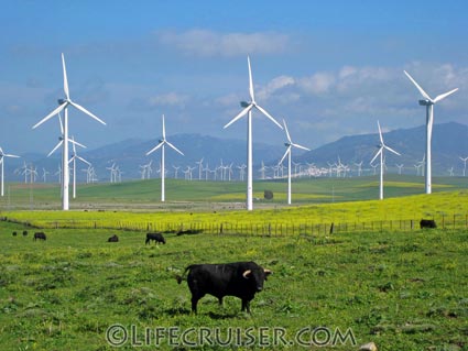 Lifecruiser photo Bull and Wind Power