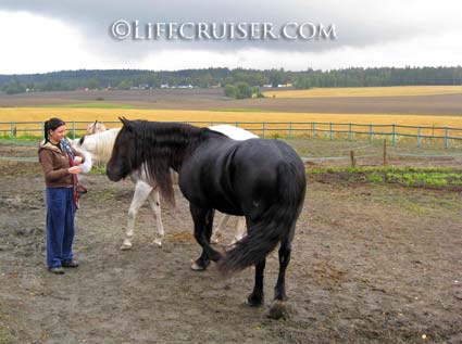 Lifecruiser photo Kari and her horse