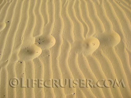 Sand tracks in Sanlucar by Lifecruiser