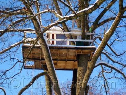 Unusual Hotel Woodpecker Treehouse from the side, Västerås, Sweden, Copyright Lifecruiser.com