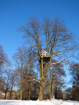 Unusual Hotel Woodpecker Treehouse from distance, Västerås, Sweden, Copyright Lifecruiser.com