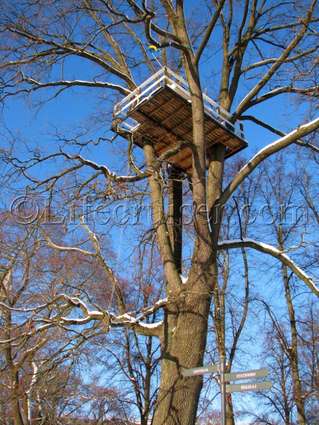 Unusual Hotel Woodpecker Treehouse from below, Västerås, Sweden, Copyright Lifecruiser.com