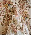Marie Antoinette Dress 2
