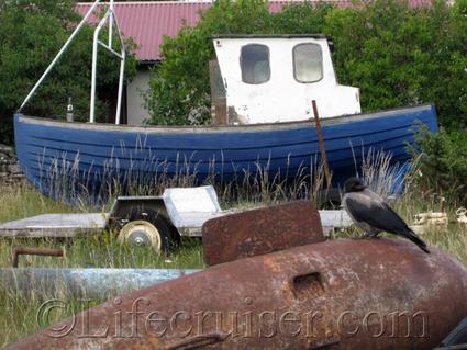 faro-boat-and-crow, Gotland, Sweden