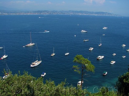 France: French Riviera boat fleet meet