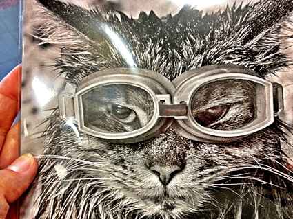 Postcard cat in diving goggles