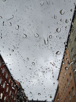 Sweden: Rain in Stockholm