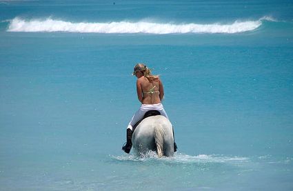 South Africa Beach Horse Rider Girl